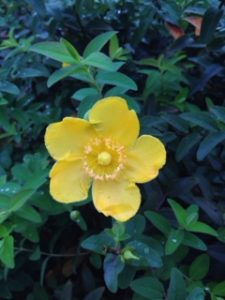 名前は、、、？