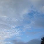 回復して、、、