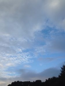 回復して、、、