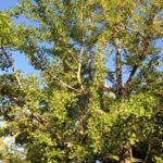 快調ですね〜、、、