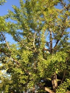 快調ですね〜、、、