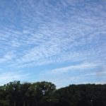 ウォーキング、、、