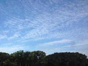 ウォーキング、、、