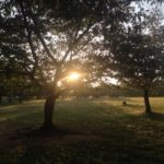 ここのところ、、、