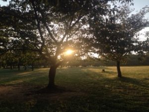 ここのところ、、、