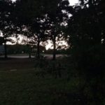 すっかりと、、、