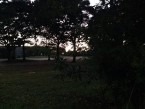 すっかりと、、、