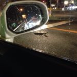 運転中に、、、