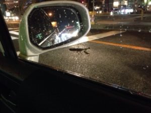 運転中に、、、