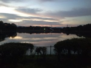 続いています、、、