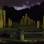 ウォーキングから、、、