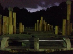 ウォーキングから、、、