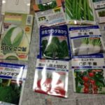 凝り性な、、、