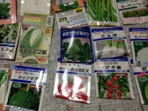 凝り性な、、、