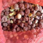 お茶の実油、、、