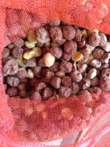 お茶の実油、、、