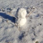 今年初の、、、