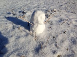 今年初の、、、