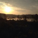 マラソン大会に、、、