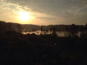 マラソン大会に、、、