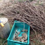 里楽の作業日、、、