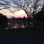 堺市民マラソン大会後、、、