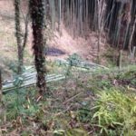 竹でご飯を、、、