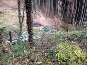 竹でご飯を、、、