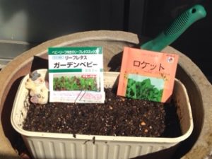 サラダに、、、