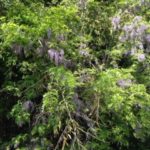 作業場の、、、