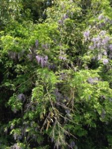 作業場の、、、