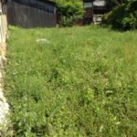 あっと言うま、、、