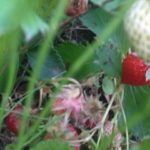 もう少し早く、、、