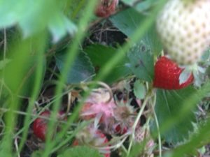 もう少し早く、、、