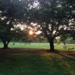 夕陽です、、、