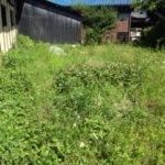 あっと言う間に、、、