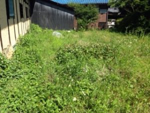 あっと言う間に、、、