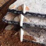 ゼーゲル、、、