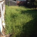 残暑が続く、、、