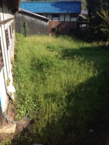 残暑が続く、、、