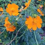 すっかり、、、