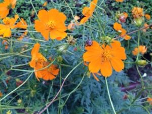 すっかり、、、