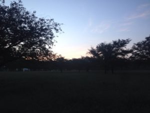 少しずつ、、、