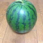 今年はご褒美か、、、