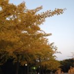 近くの公園も、、、