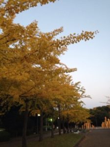 近くの公園も、、、