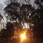 今朝はウォーキング、、、