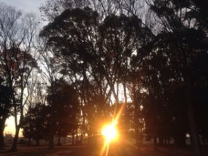 今朝はウォーキング、、、