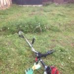 久しぶりの、、、