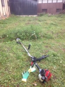 久しぶりの、、、